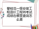 攀枝花一级安装工程造价工程师考试成绩在哪里查询怎么查