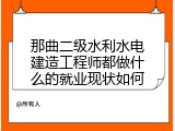 那曲二级水利水电建造工程师都做什么的就业现状如何