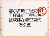 鄂尔多斯二级安装工程造价工程师考试成绩在哪里查询怎么查