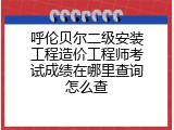 呼伦贝尔二级安装工程造价工程师考试成绩在哪里查询怎么查