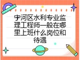 宁河区水利专业监理工程师一般在哪里上班什么岗位和待遇