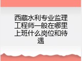 西藏水利专业监理工程师一般在哪里上班什么岗位和待遇