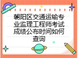 朝阳区交通运输专业监理工程师考试成绩公布时间如何查询