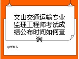 文山交通运输专业监理工程师考试成绩公布时间如何查询