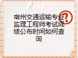 宿州交通运输专业监理工程师考试成绩公布时间如何查询
