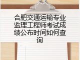 合肥交通运输专业监理工程师考试成绩公布时间如何查询