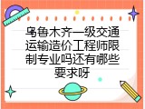 乌鲁木齐一级交通运输造价工程师限制专业吗还有哪些要求呀