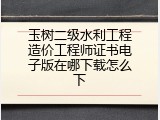 玉树二级水利工程造价工程师证书电子版在哪下载怎么下