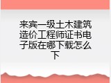 来宾一级土木建筑造价工程师证书电子版在哪下载怎么下