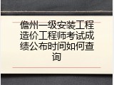 儋州一级安装工程造价工程师考试成绩公布时间如何查询