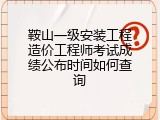 鞍山一级安装工程造价工程师考试成绩公布时间如何查询
