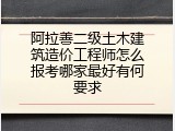 阿拉善二级土木建筑造价工程师怎么报考哪家最好有何要求